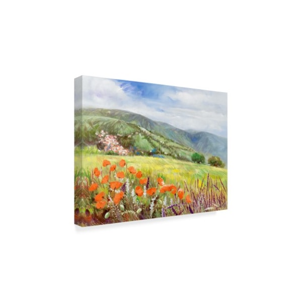 Li Bo 'Blooming Poppy 1' Canvas Art,18x24